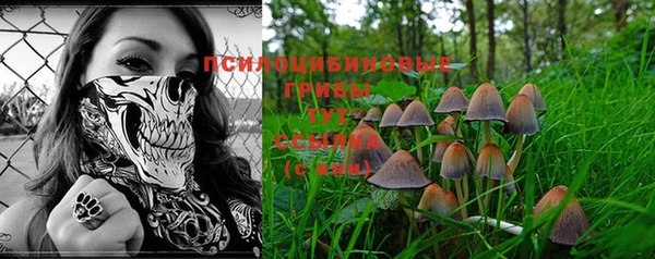 СК Бугульма