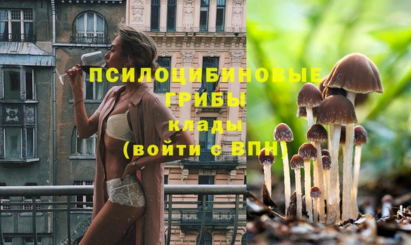 СК Бугульма